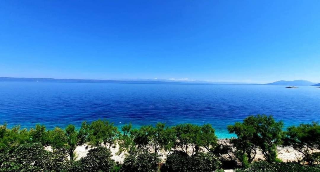 Apartments Blueness Prigradica Zewnętrze zdjęcie